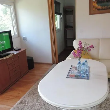 Holiday home Letni Domyslow